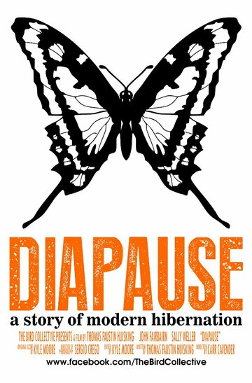 Diapause (2013)