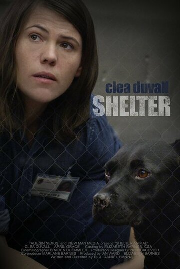 Shelter (2015)